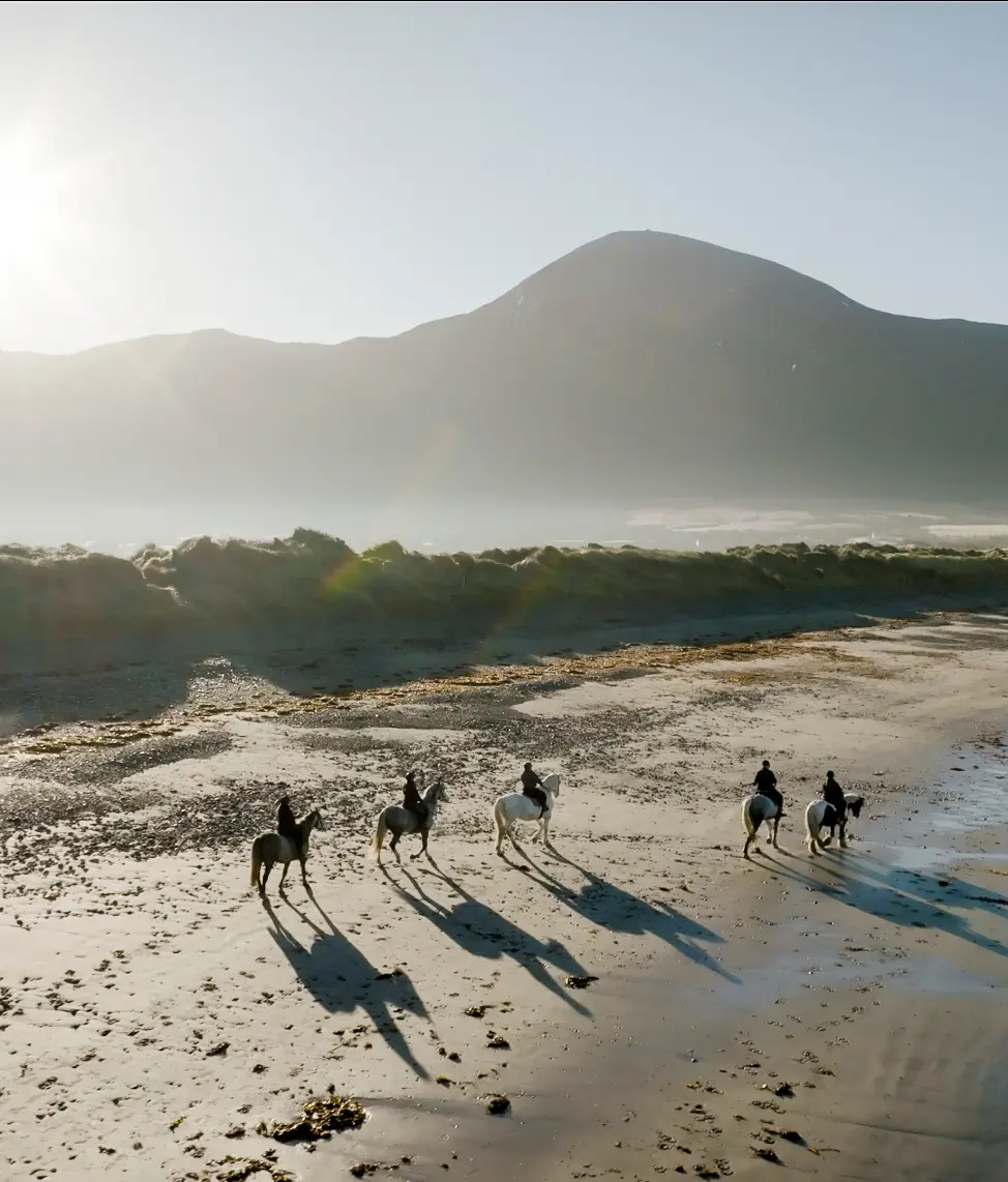 Screenshot 2024 11 27 at 10.51.49