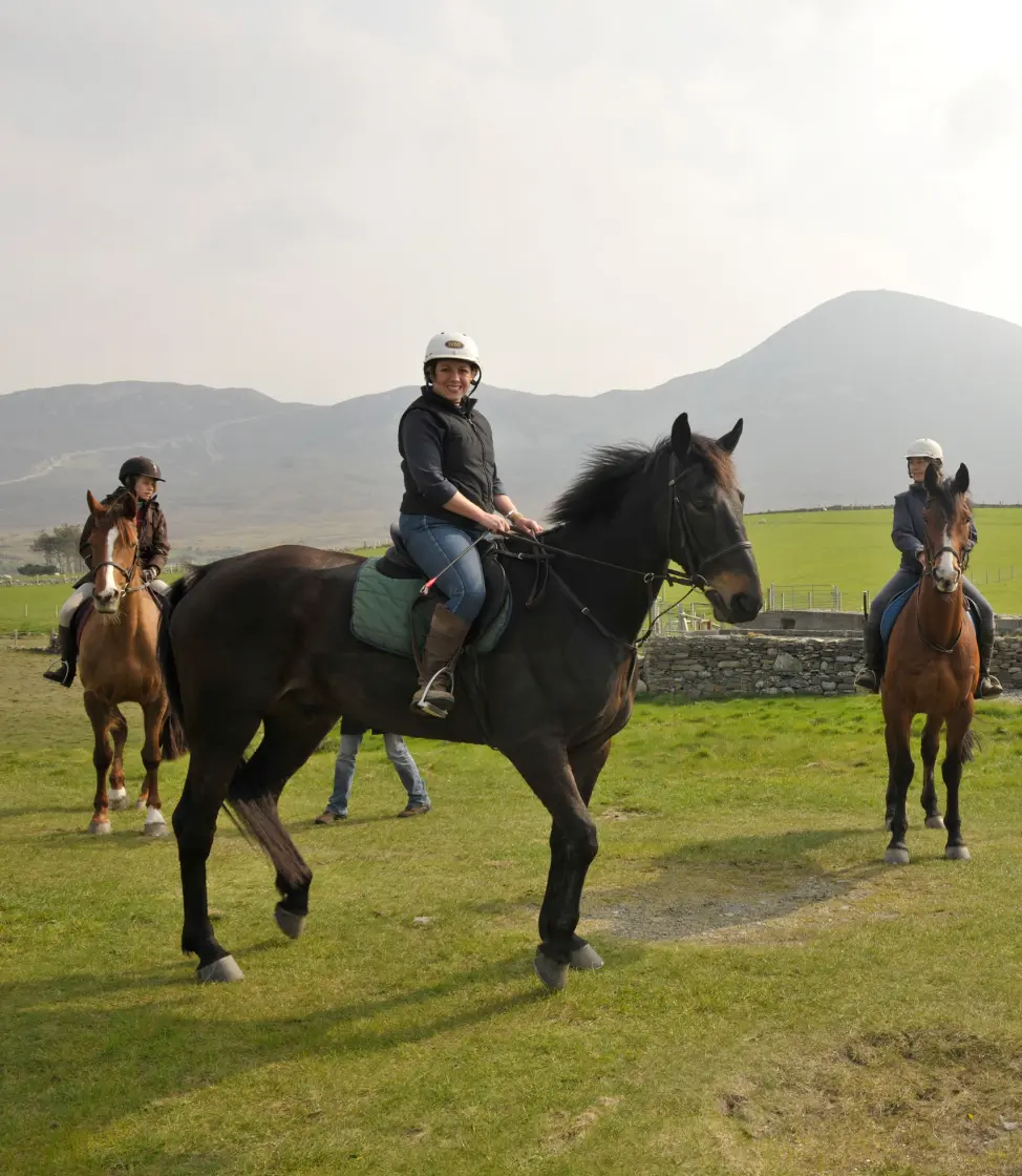 Screenshot 2024 11 27 at 10.51.49