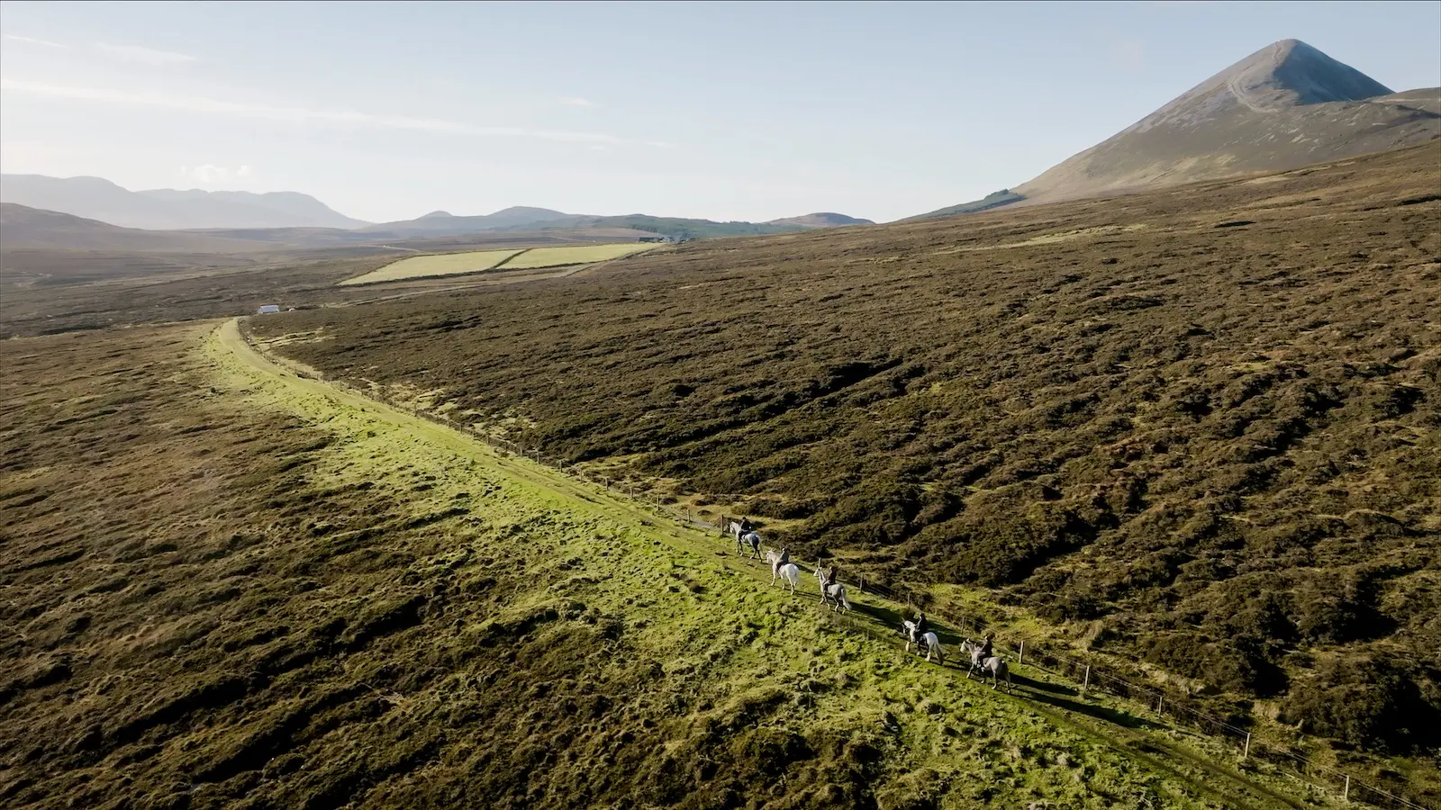 Screenshot 2024 11 27 at 10.51.49