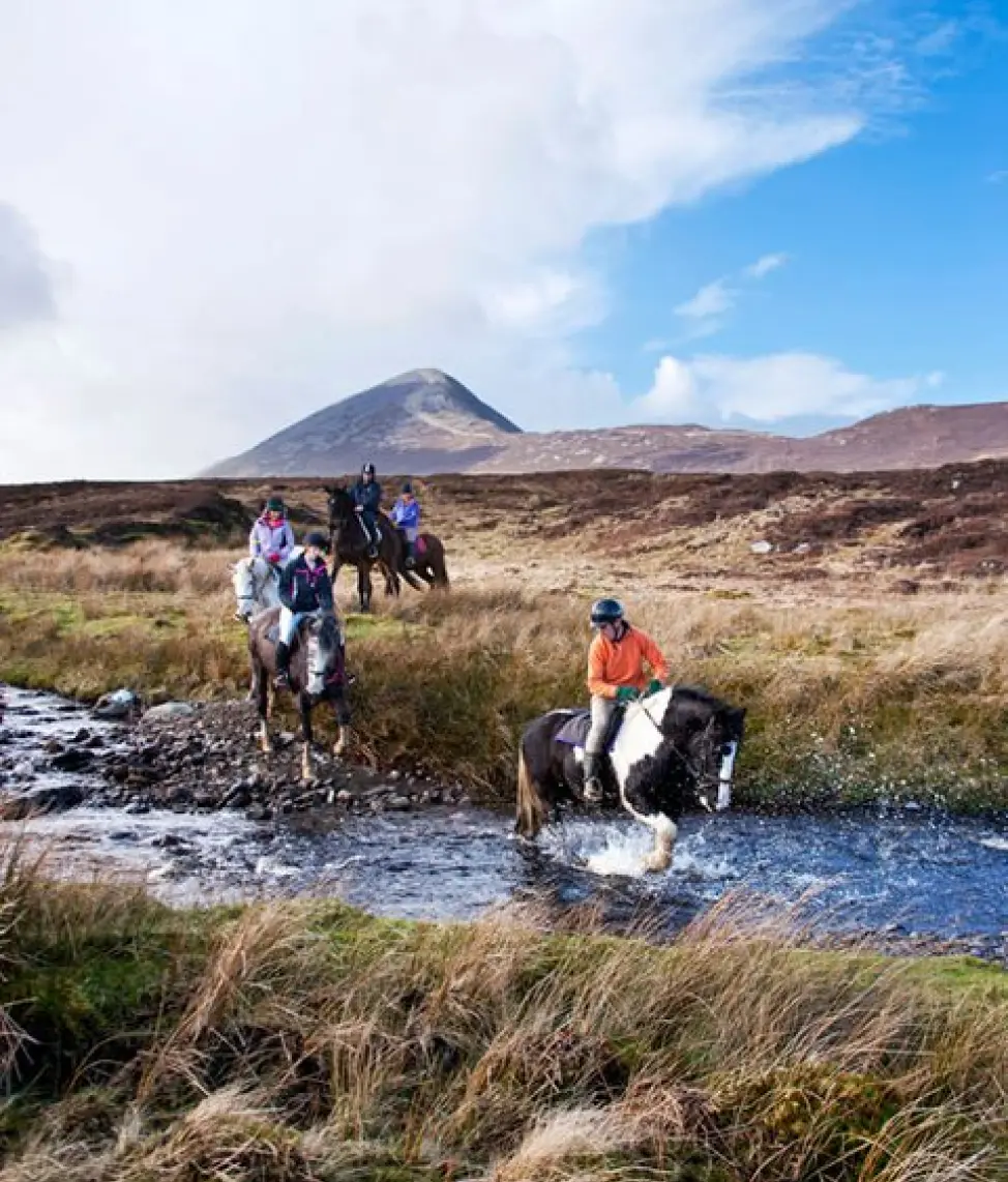 Screenshot 2024 11 27 at 10.51.49