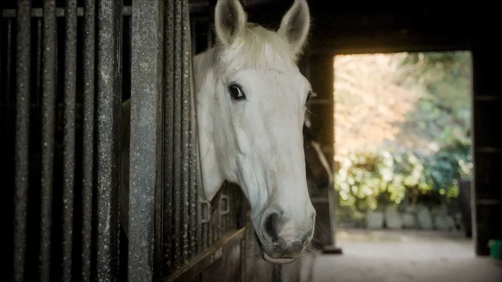 Screenshot 2024 11 27 at 10.51.49