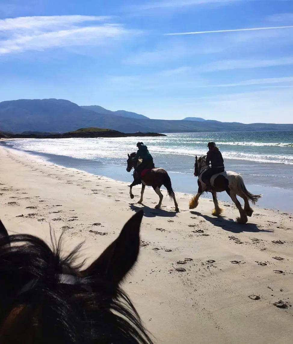 Screenshot 2024 11 27 at 10.51.59