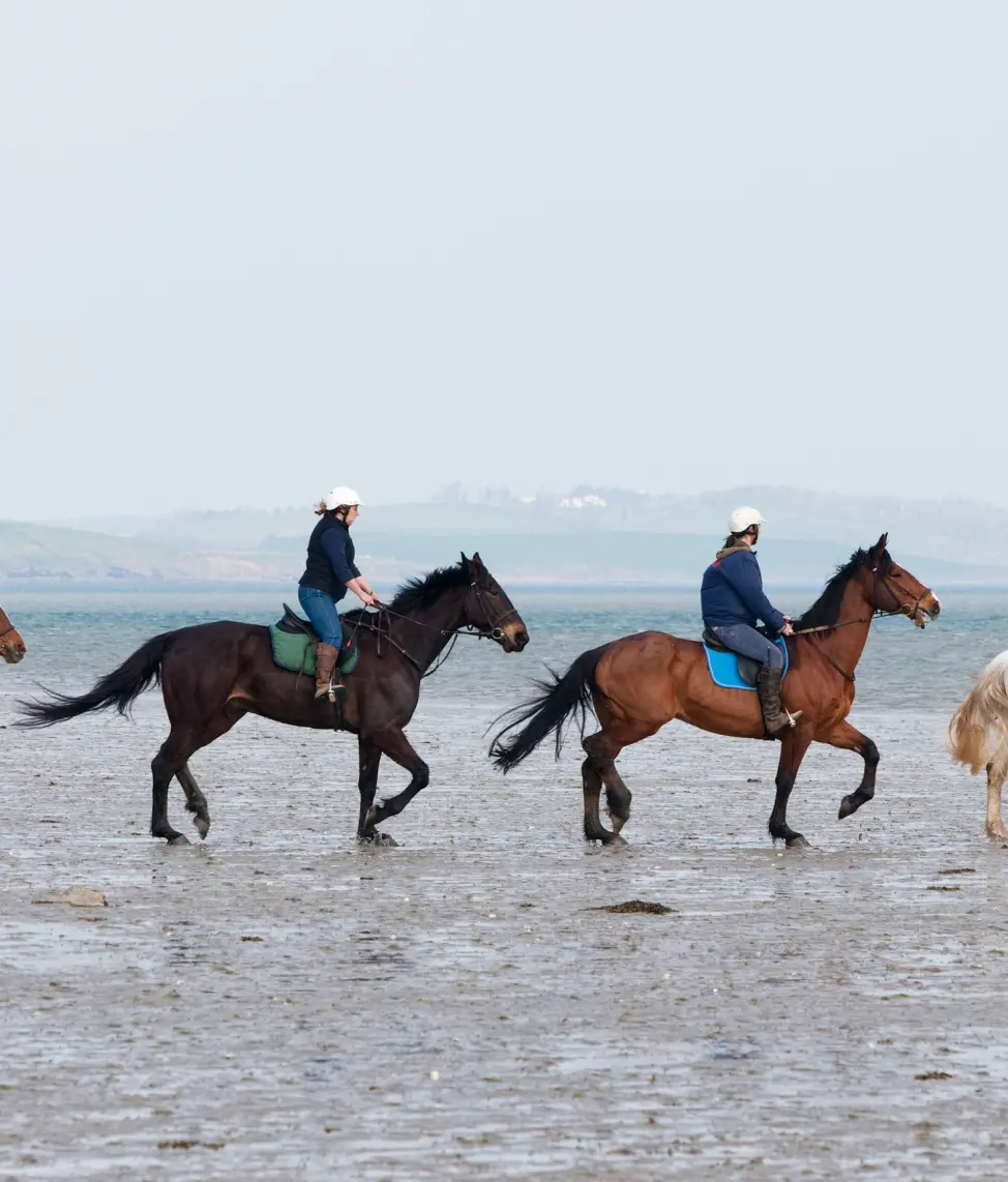 Screenshot 2024 11 27 at 10.51.49