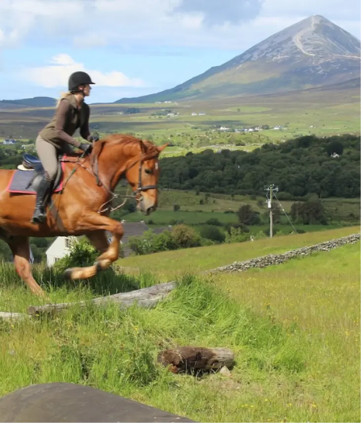 Screenshot 2024 11 27 at 10.52.37