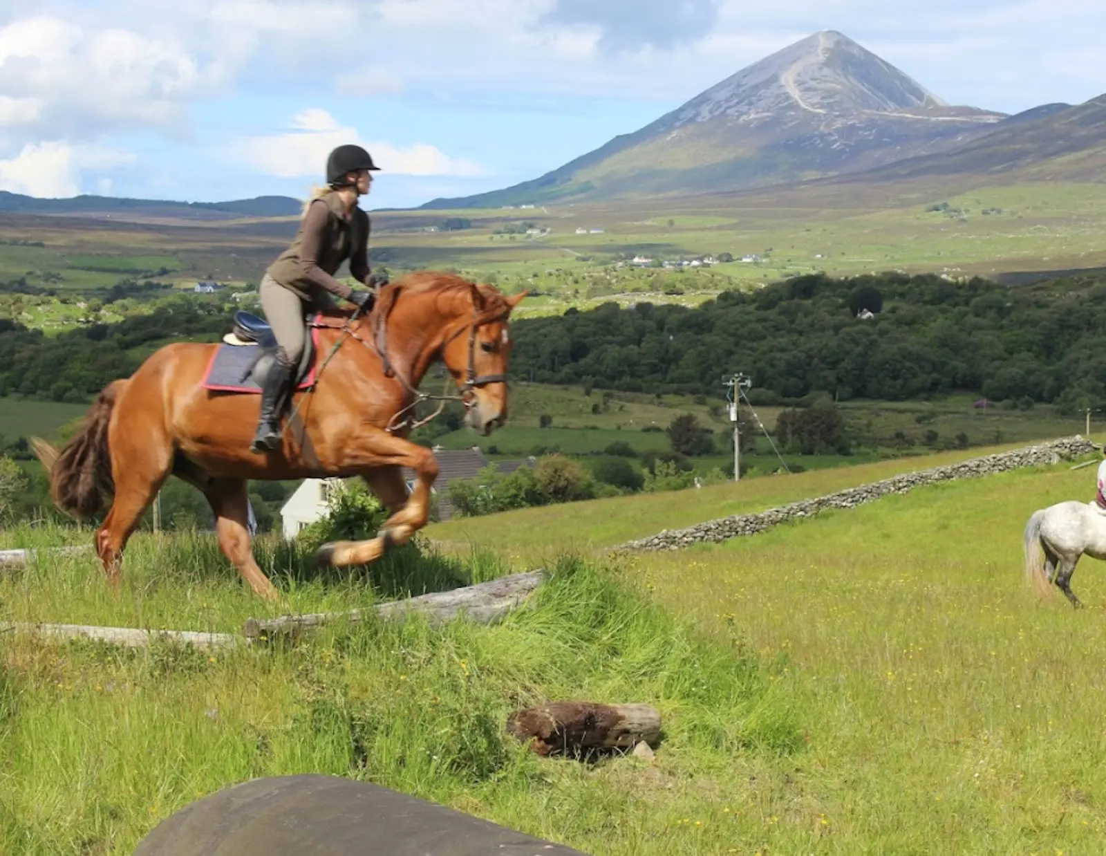 Screenshot 2024 11 27 at 10.52.37