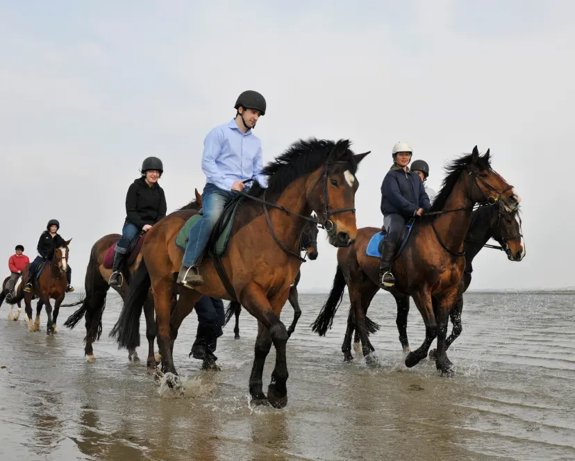 Screenshot 2024 11 27 at 10.52.37