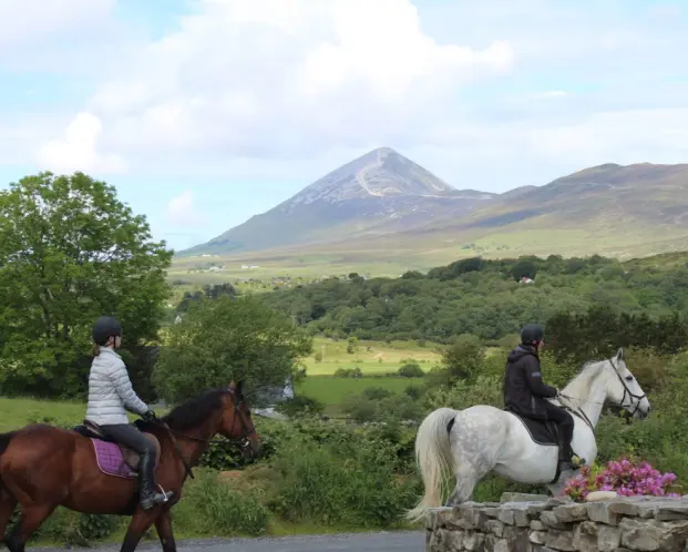 Screenshot 2024 11 27 at 10.52.37