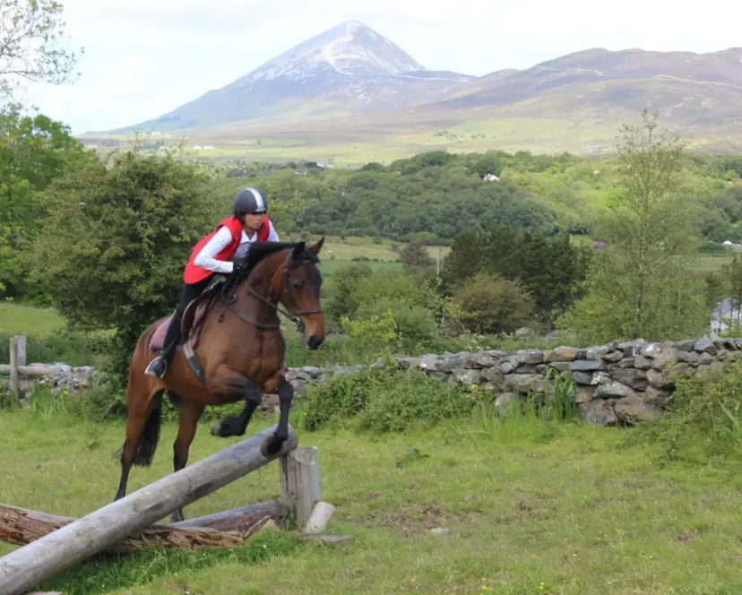 Screenshot 2024 11 27 at 10.52.37