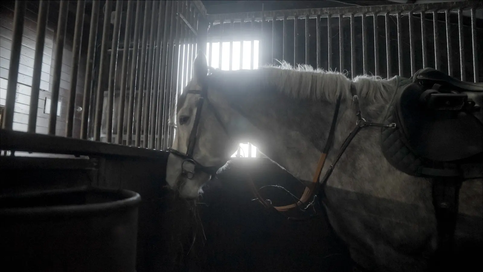 Screenshot 2024 11 27 at 10.51.45