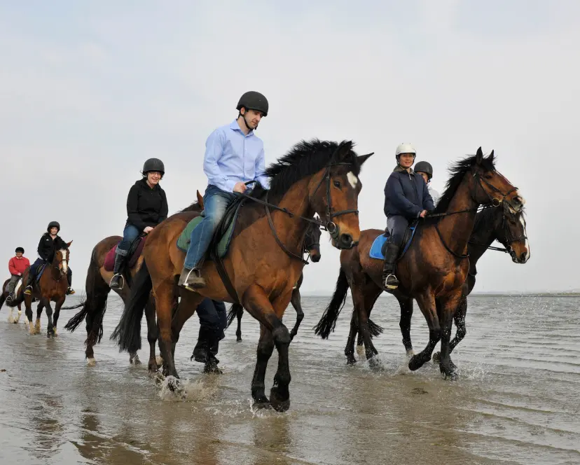 Screenshot 2024 11 27 at 10.52.37