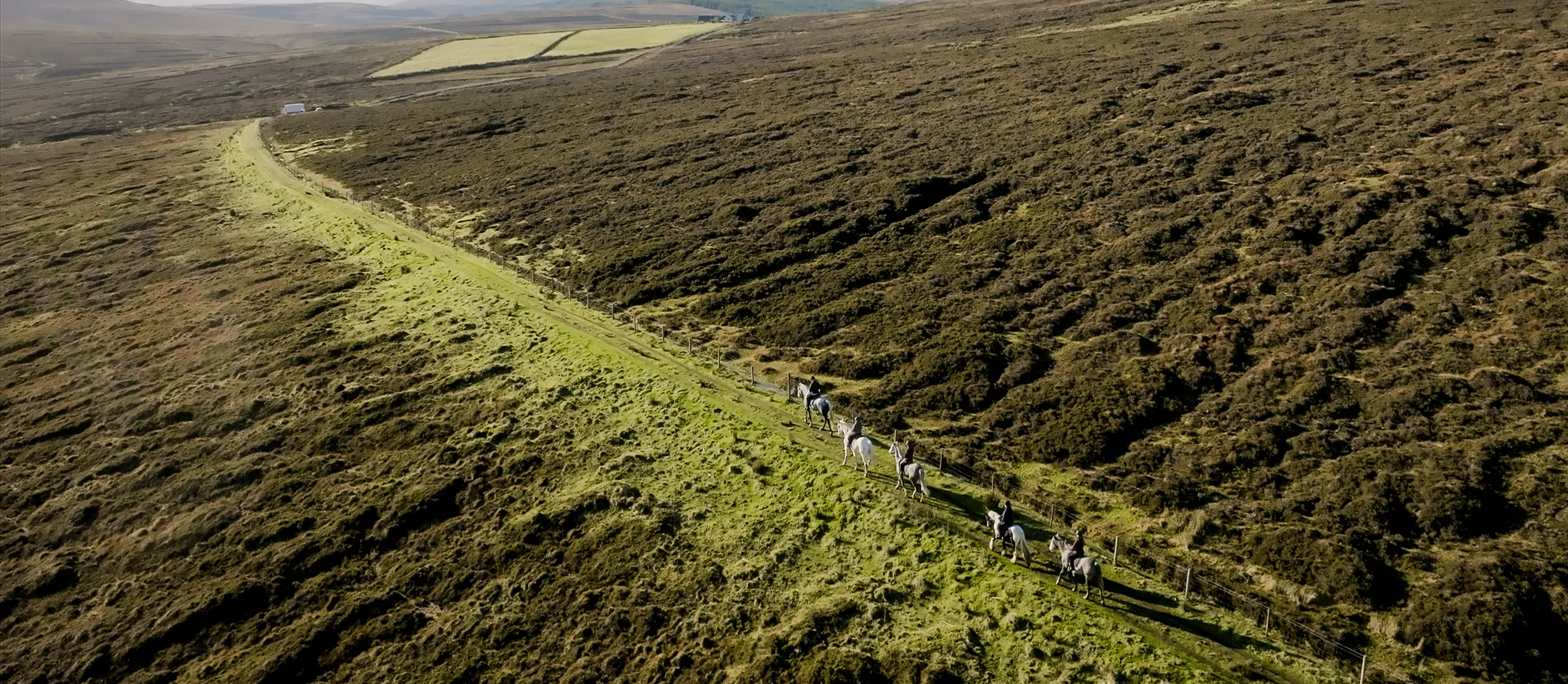 Screenshot 2024 11 27 at 10.51.45