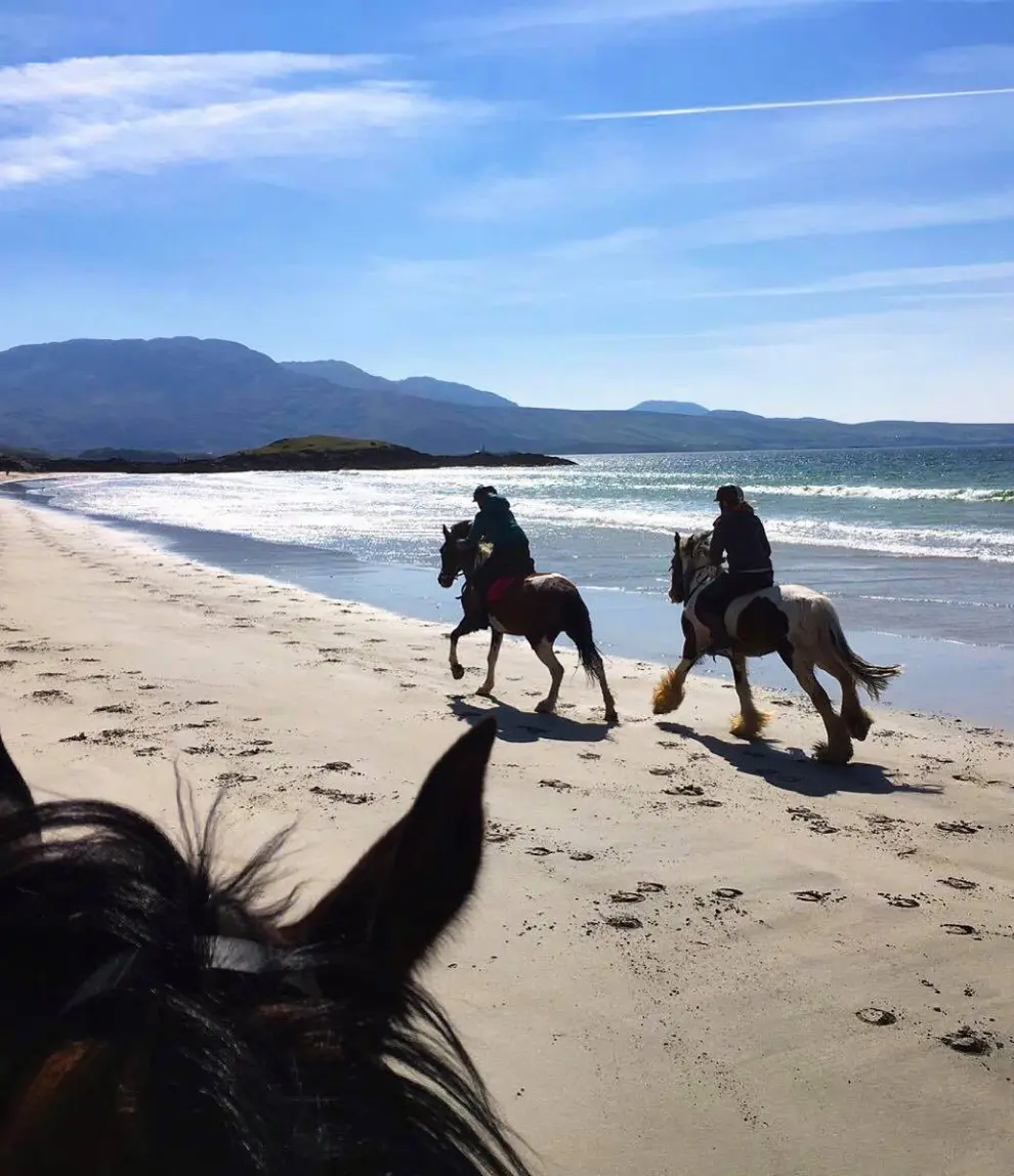 Screenshot 2024 11 27 at 10.51.59