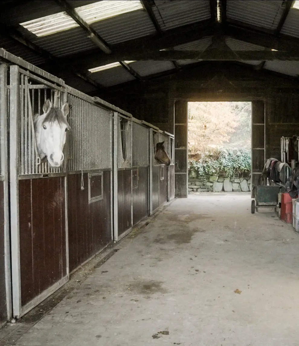 Screenshot 2024 11 27 at 10.51.59