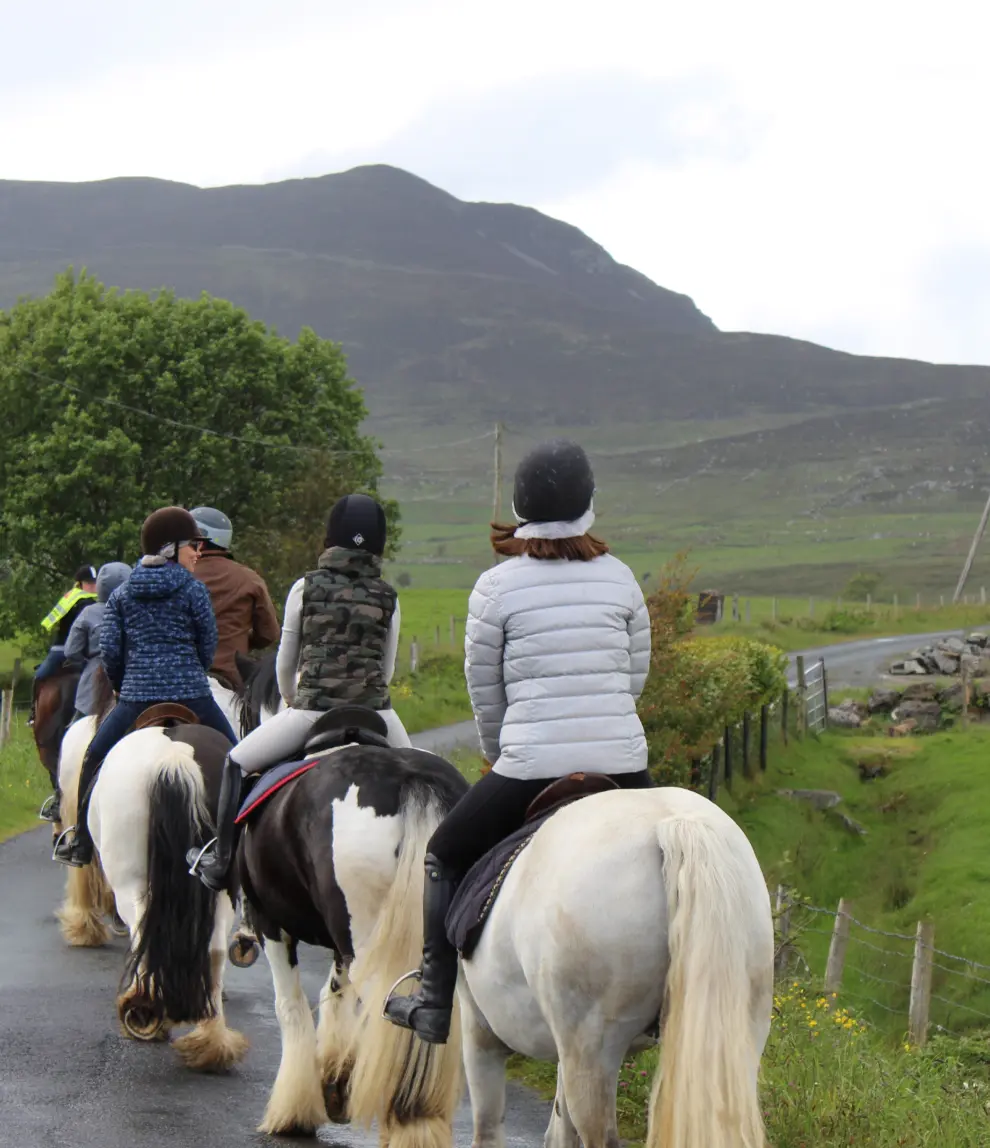 Screenshot 2024 11 27 at 10.51.59