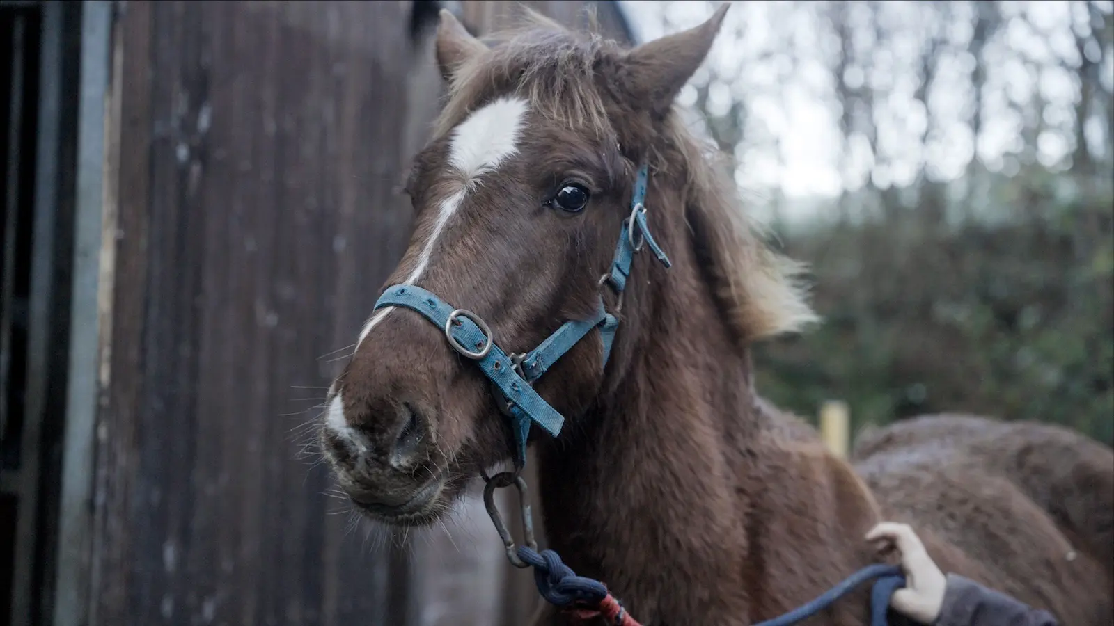 Screenshot 2024 11 27 at 10.51.59