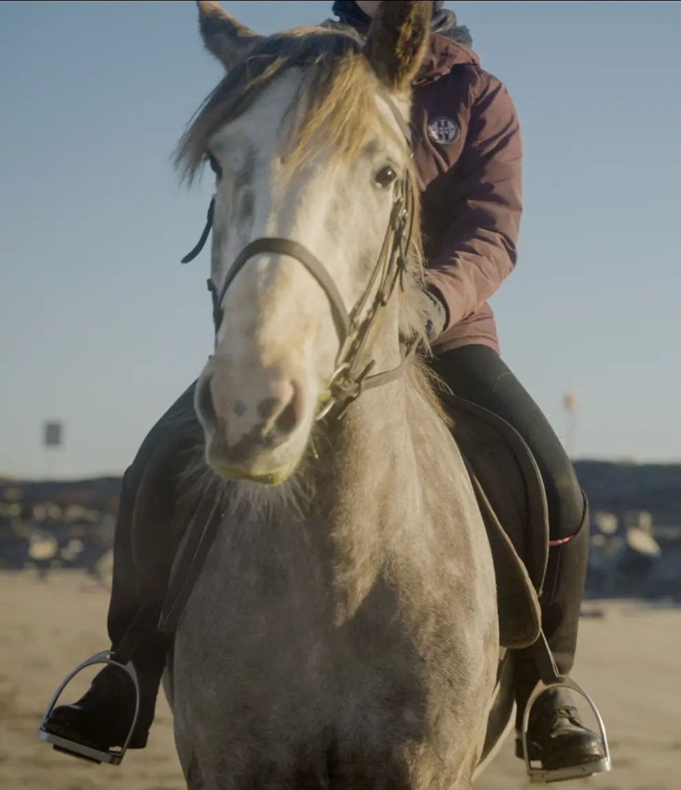 Screenshot 2024 11 27 at 10.51.59