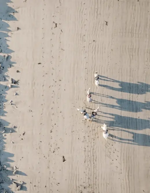 Screenshot 2024 11 27 at 10.52.04