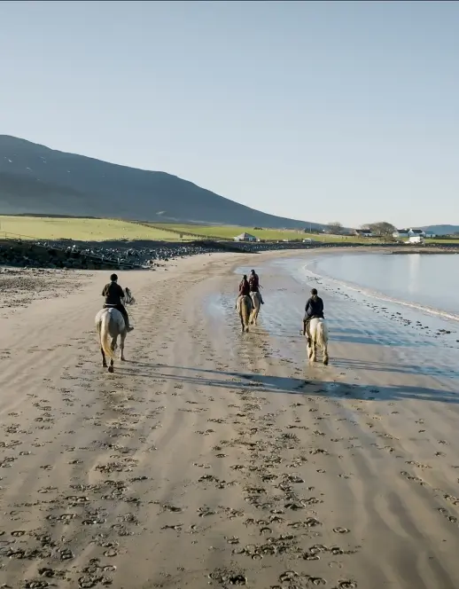 Screenshot 2024 11 27 at 10.51.49