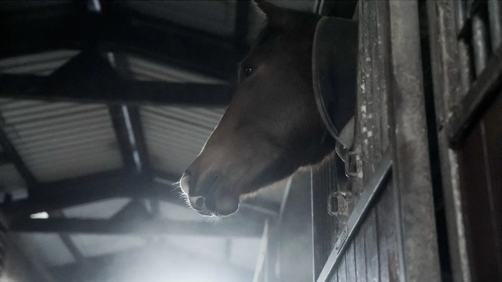 Screenshot 2024 11 27 at 10.52.04