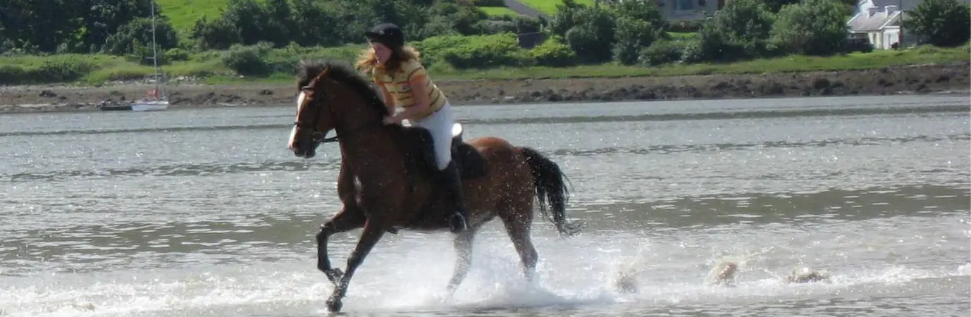 Screenshot 2024 11 27 at 10.51.45