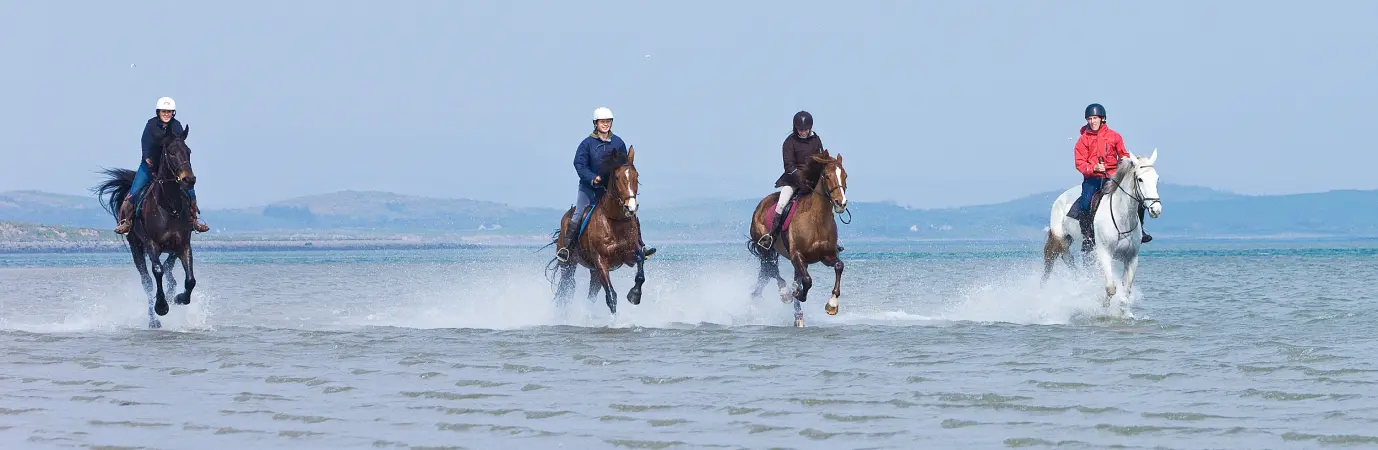 Screenshot 2024 11 27 at 10.51.45