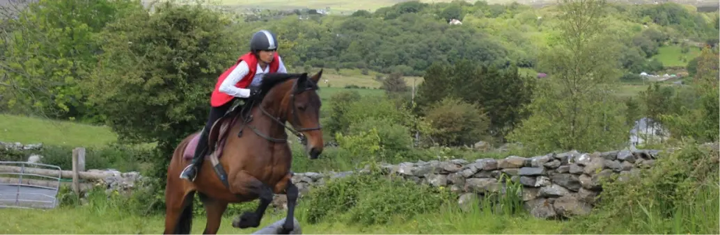 Screenshot 2024 11 27 at 10.51.45