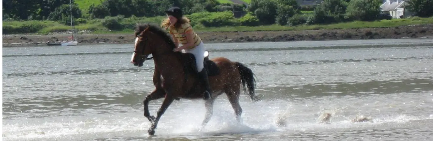 Screenshot 2024 11 27 at 10.51.45