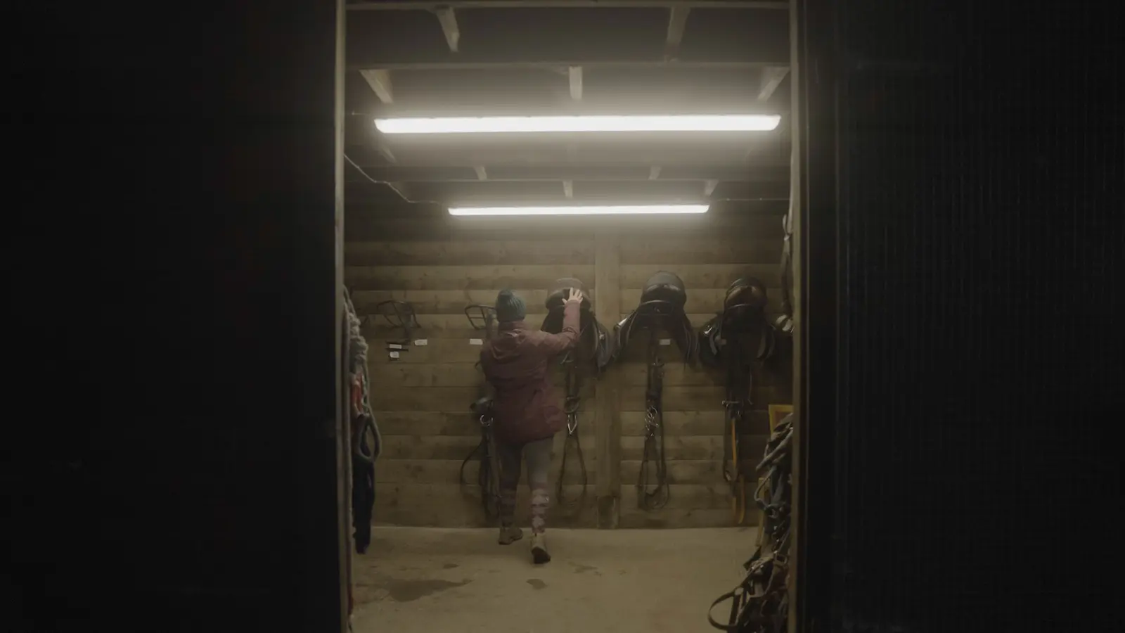 Screenshot 2024 11 27 at 10.51.45