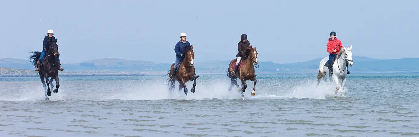 Screenshot 2024 11 27 at 10.51.45