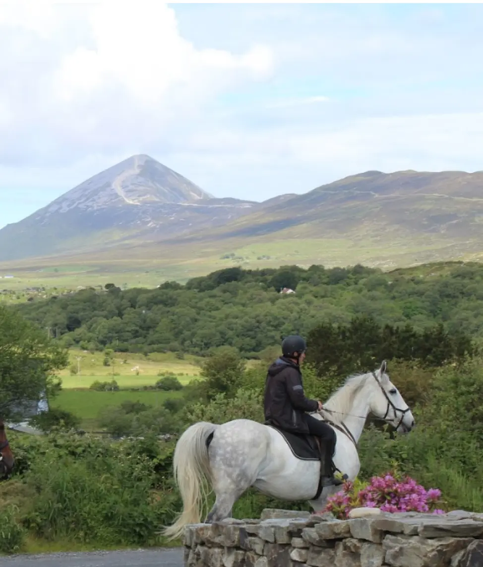 Screenshot 2024 11 27 at 10.51.49