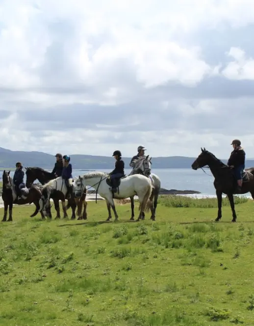 Screenshot 2024 11 27 at 10.52.04